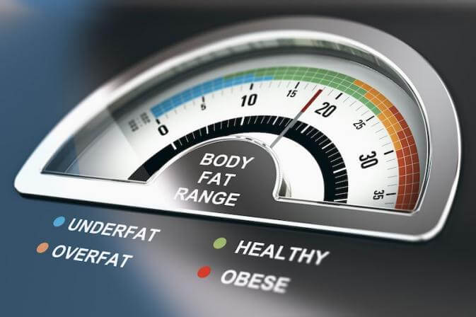 body fat measure scale