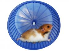 hamsterwheeljpgitokhEIpCmbc