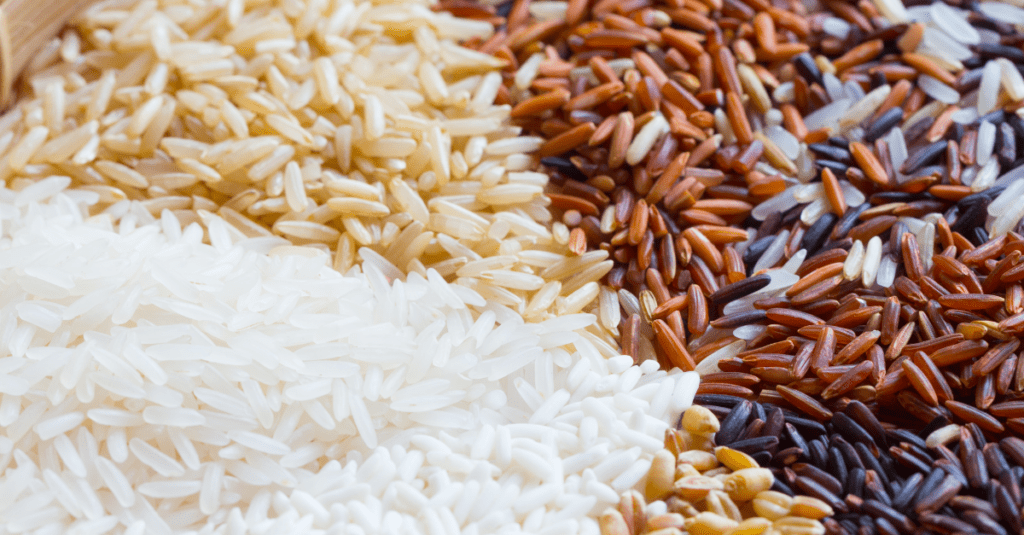 all-about-rice