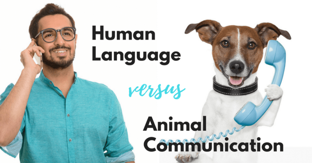 how-human-language-is-different-from-animal-communication-quick-and