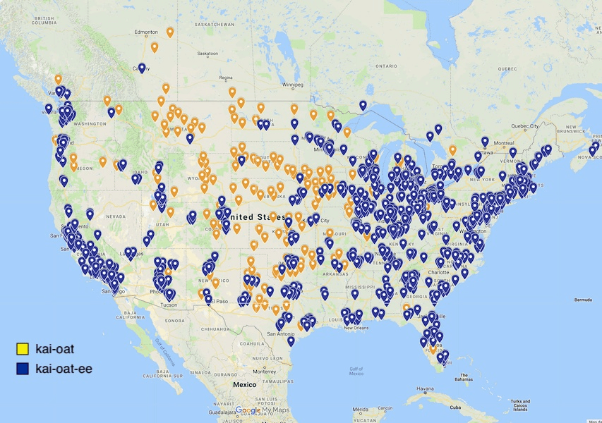 A US map with yellow pins representing the kai-oat pronunciation mostly in the middle of the US, and blue pins that represent the kai-oat-ee pronunciation more widely distributed but lighter in the middle and heavier on the coasts and the states south of the Great Lakes.