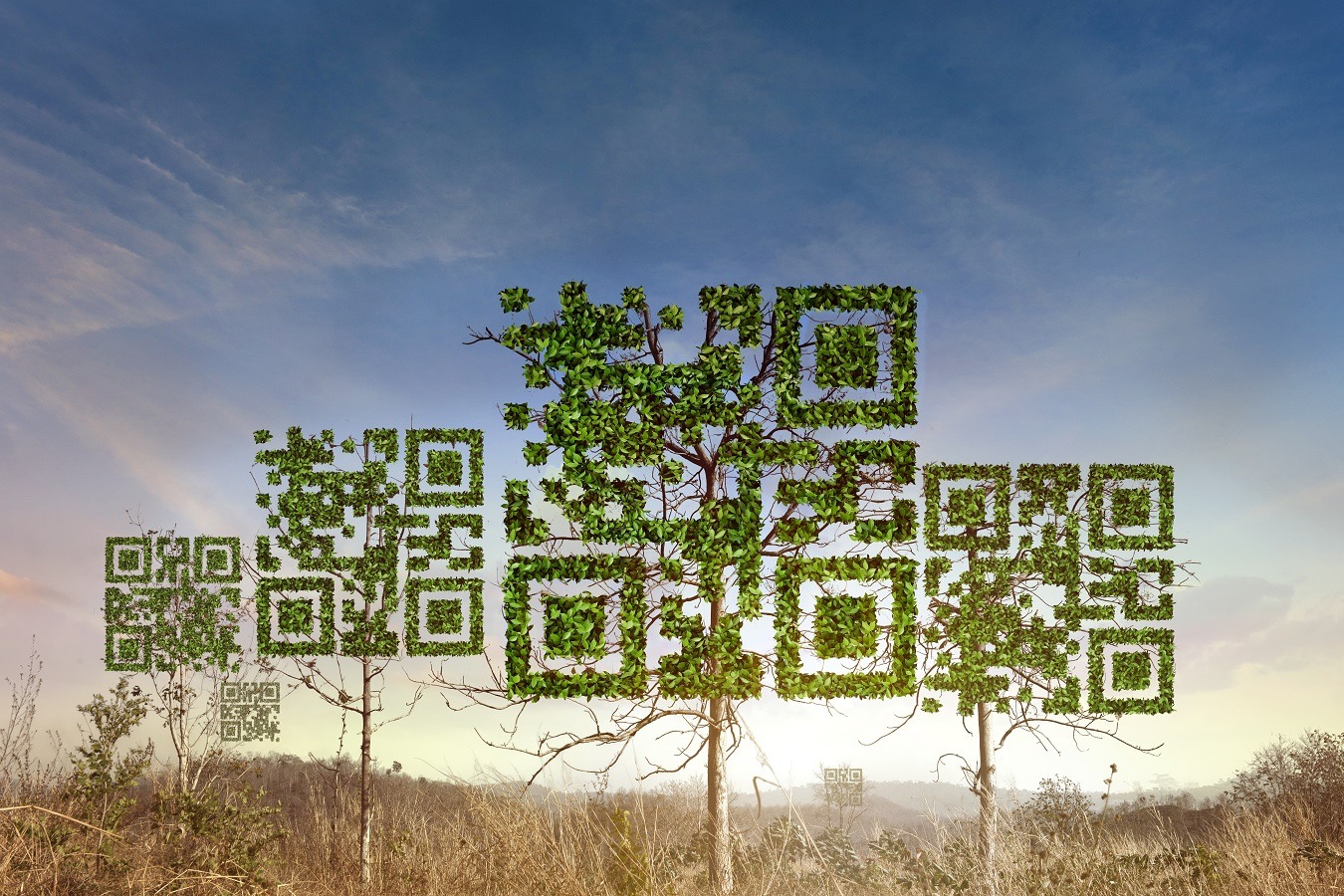 Digital trees with trees made of green QR codes against a blue sky