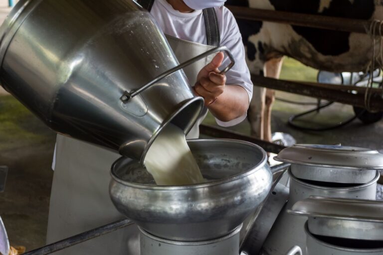 Exploring the Raw Milk Controversy  Risks and Benefits - 86